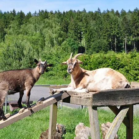 Am Waldbad 2* Breitenbach (Thuringia)