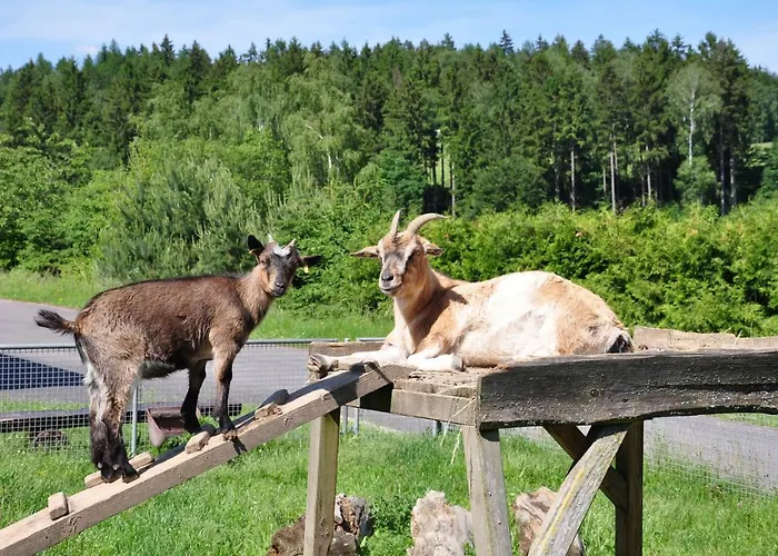 Am Waldbad 2* Breitenbach (Thuringia)